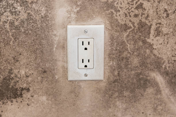 Best Industrial Mold Remediation  in Dixon, MO